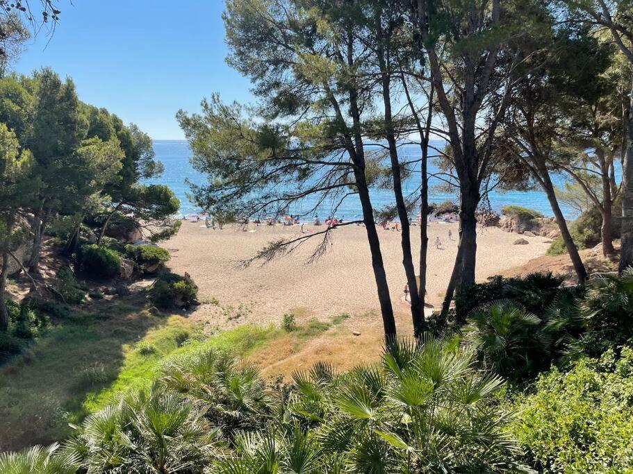 Precioso Apto Miami Primera Linia Playa Cala De Las Sirenas, Con Wifi Y Netflix, Adecuado Para Teletrabajar Miami Playa Bagian luar foto